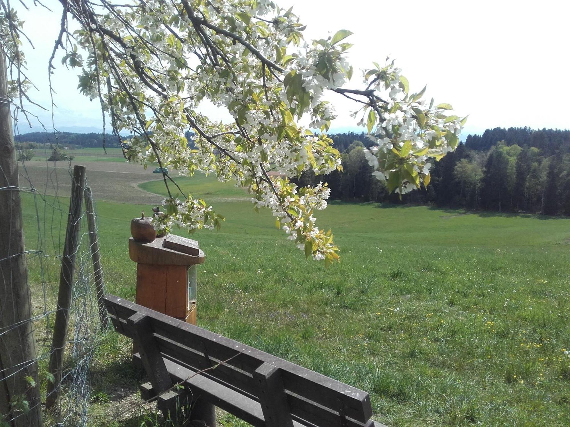 Ferienhof Metzler Bodnegg 外观 照片