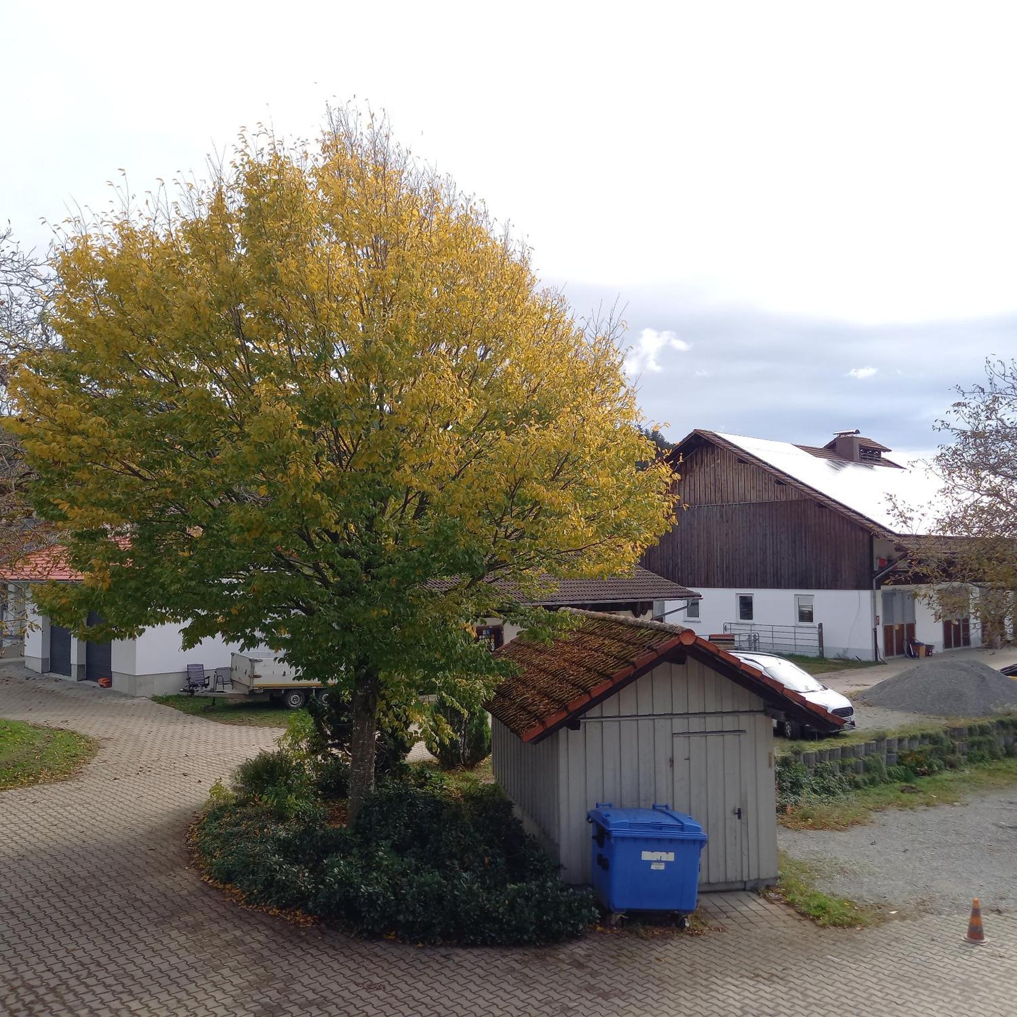 Ferienhof Metzler Bodnegg 外观 照片
